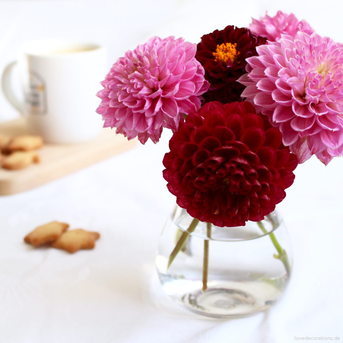 Schöne Herbstblumen | Love Decorations